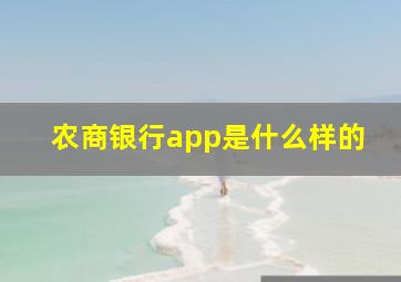 农商银行app是什么样的