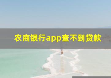 农商银行app查不到贷款