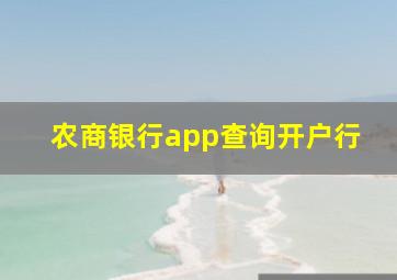 农商银行app查询开户行