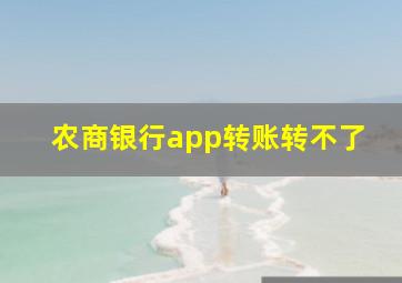 农商银行app转账转不了