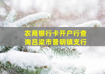 农商银行卡开户行查询吕梁市普明镇支行