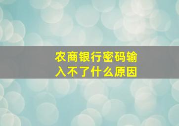 农商银行密码输入不了什么原因