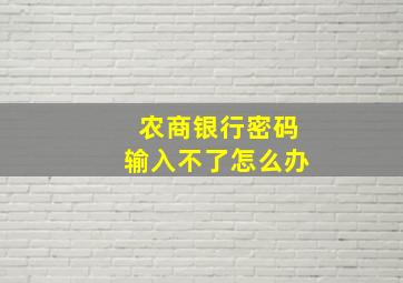 农商银行密码输入不了怎么办