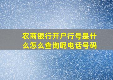 农商银行开户行号是什么怎么查询呢电话号码