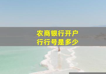 农商银行开户行行号是多少