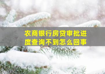 农商银行房贷审批进度查询不到怎么回事