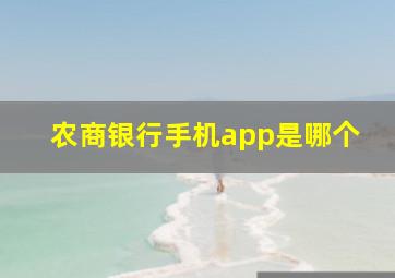 农商银行手机app是哪个