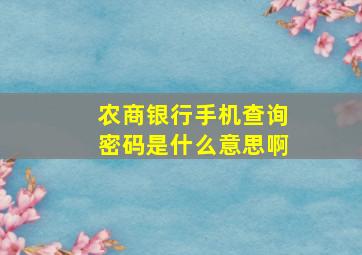 农商银行手机查询密码是什么意思啊