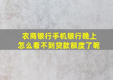 农商银行手机银行晚上怎么看不到贷款额度了呢