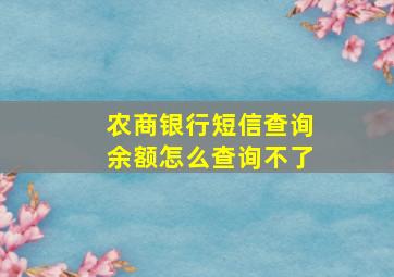 农商银行短信查询余额怎么查询不了