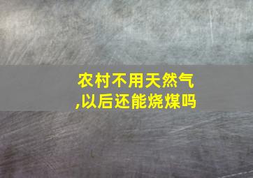 农村不用天然气,以后还能烧煤吗