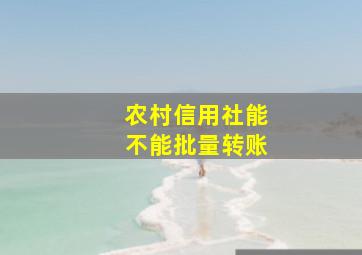 农村信用社能不能批量转账