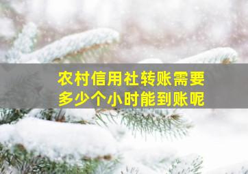 农村信用社转账需要多少个小时能到账呢