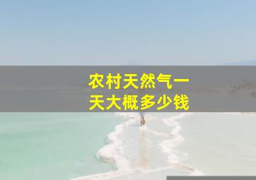 农村天然气一天大概多少钱