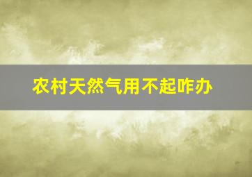 农村天然气用不起咋办