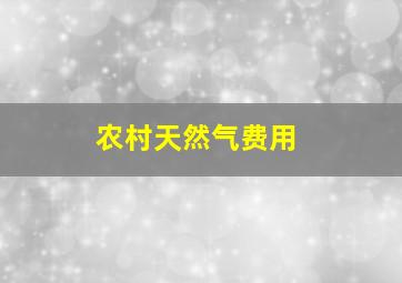 农村天然气费用