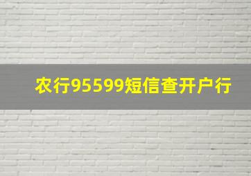 农行95599短信查开户行