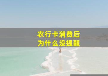 农行卡消费后为什么没提醒