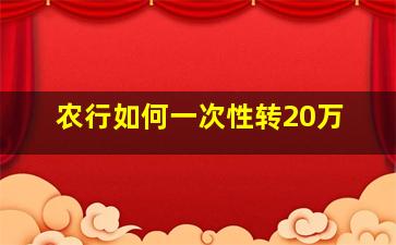 农行如何一次性转20万