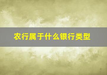 农行属于什么银行类型