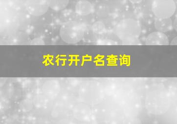 农行开户名查询