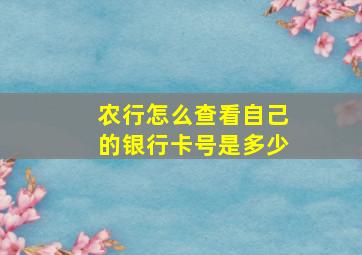 农行怎么查看自己的银行卡号是多少