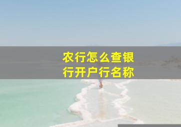 农行怎么查银行开户行名称