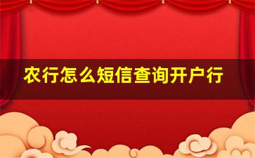 农行怎么短信查询开户行