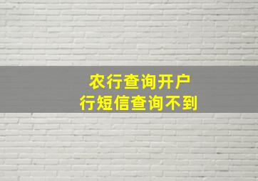 农行查询开户行短信查询不到