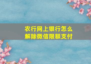 农行网上银行怎么解除微信限额支付