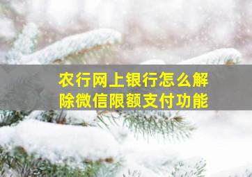 农行网上银行怎么解除微信限额支付功能