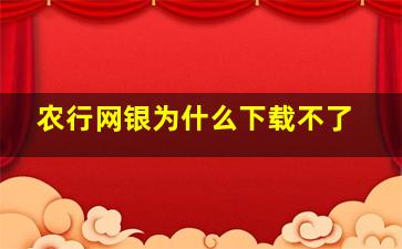 农行网银为什么下载不了