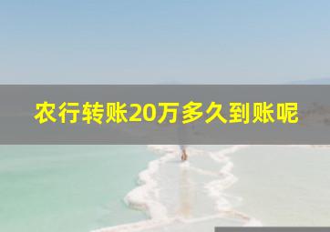 农行转账20万多久到账呢