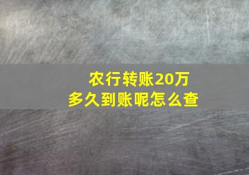 农行转账20万多久到账呢怎么查