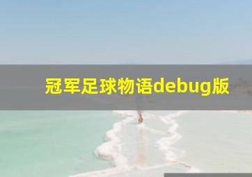 冠军足球物语debug版