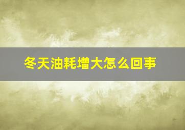 冬天油耗增大怎么回事