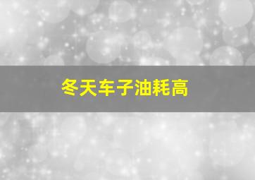 冬天车子油耗高