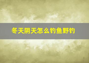 冬天阴天怎么钓鱼野钓