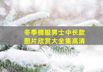 冬季棉服男士中长款图片欣赏大全集高清