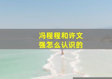 冯程程和许文强怎么认识的