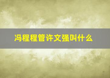 冯程程管许文强叫什么