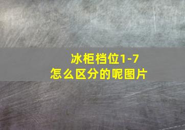 冰柜档位1-7怎么区分的呢图片