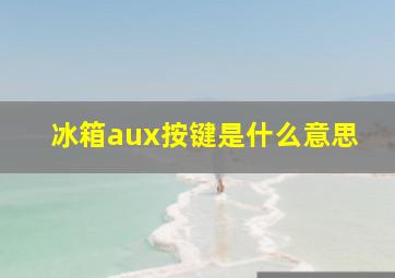 冰箱aux按键是什么意思