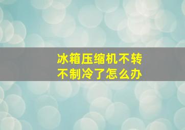 冰箱压缩机不转不制冷了怎么办