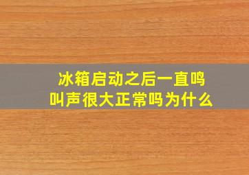 冰箱启动之后一直鸣叫声很大正常吗为什么