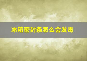 冰箱密封条怎么会发霉