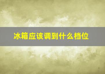 冰箱应该调到什么档位