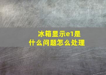 冰箱显示e1是什么问题怎么处理