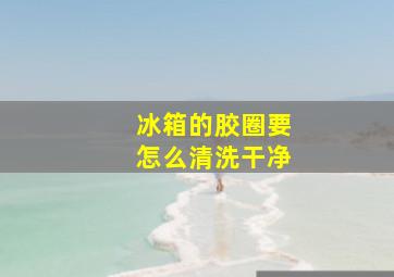 冰箱的胶圈要怎么清洗干净