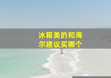 冰箱美的和海尔建议买哪个